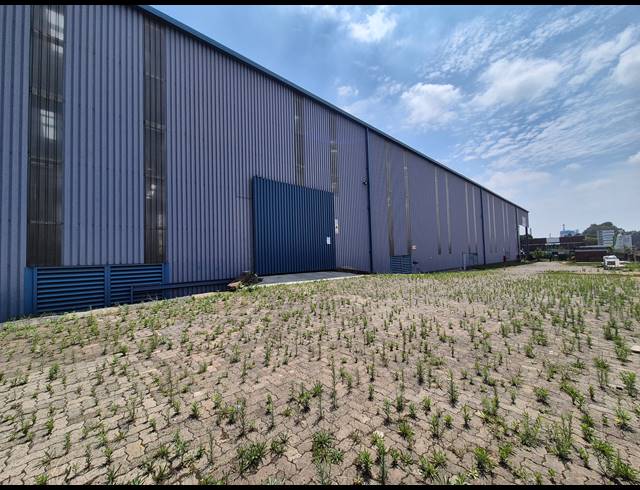 13,580M² WAREHOUSE FOR SALE IN WADEVILLE